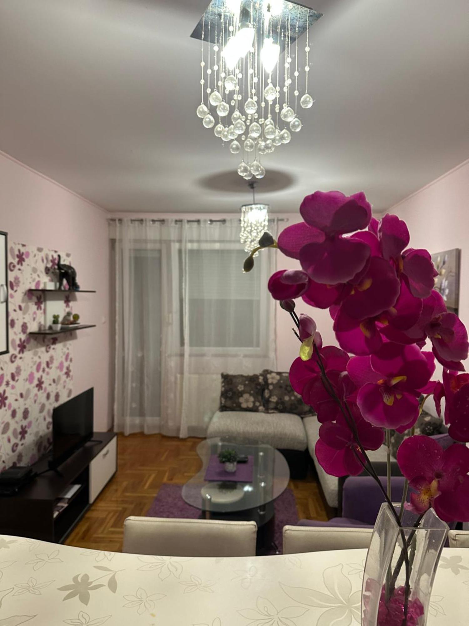 Apartament Apartman Ivana Nowy Sad Zewnętrze zdjęcie