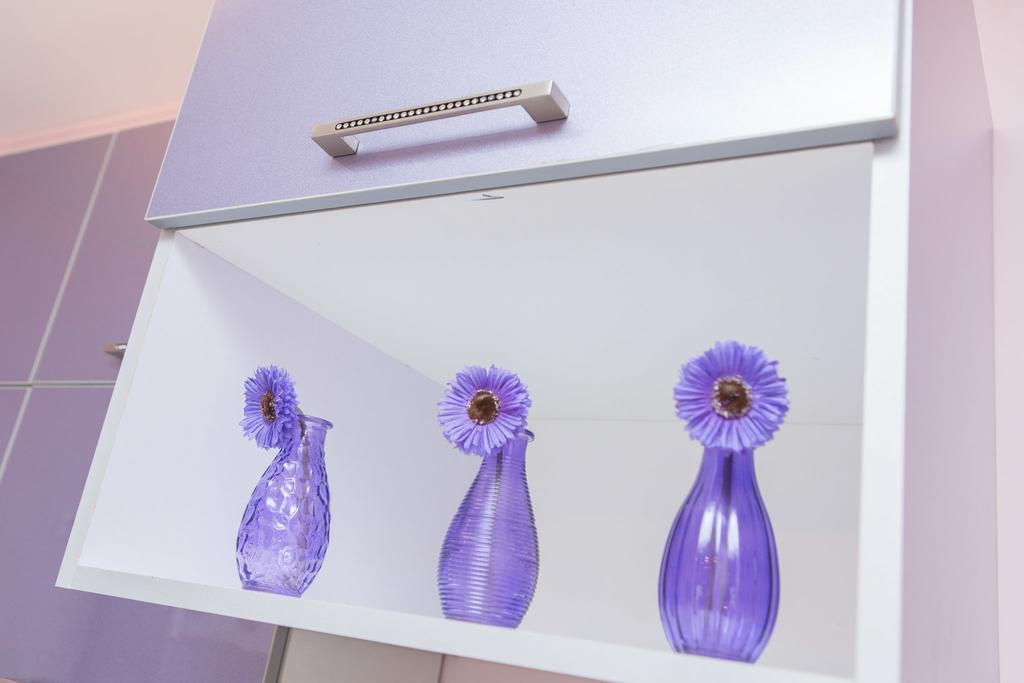 Apartament Apartman Ivana Nowy Sad Zewnętrze zdjęcie