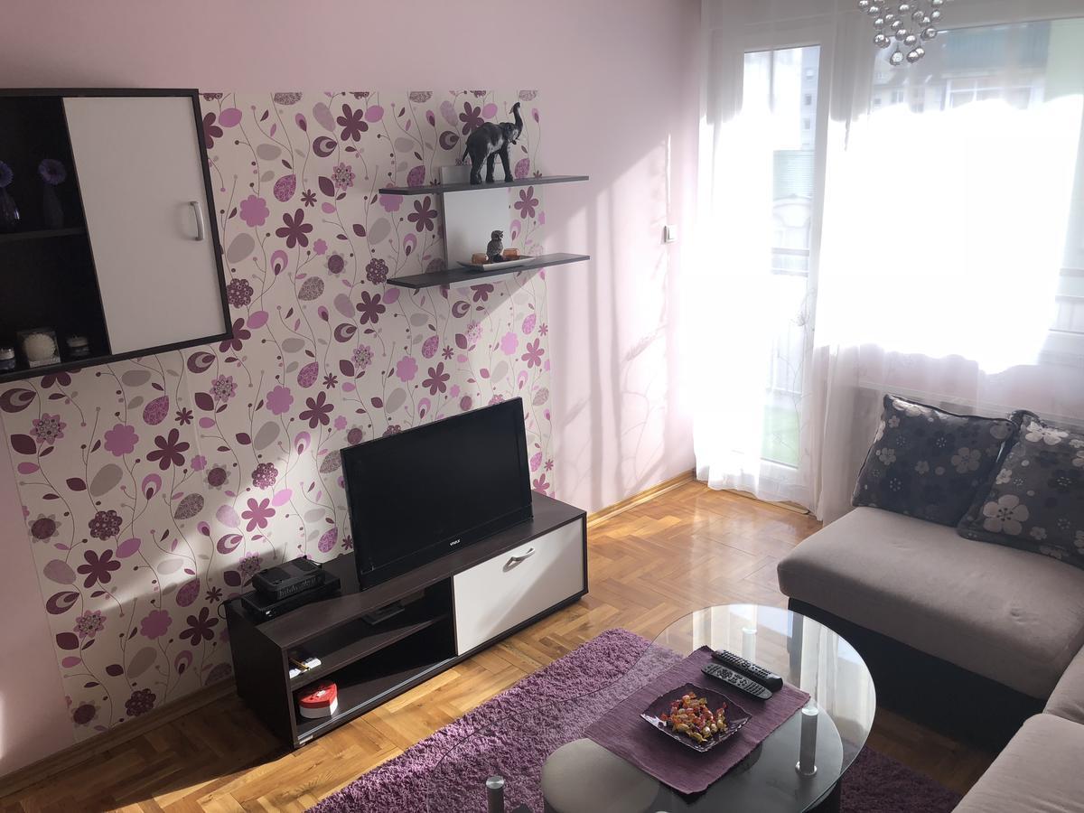 Apartament Apartman Ivana Nowy Sad Zewnętrze zdjęcie