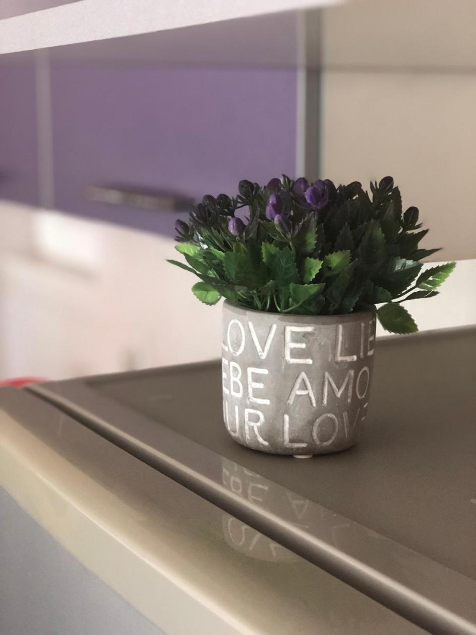 Apartament Apartman Ivana Nowy Sad Zewnętrze zdjęcie